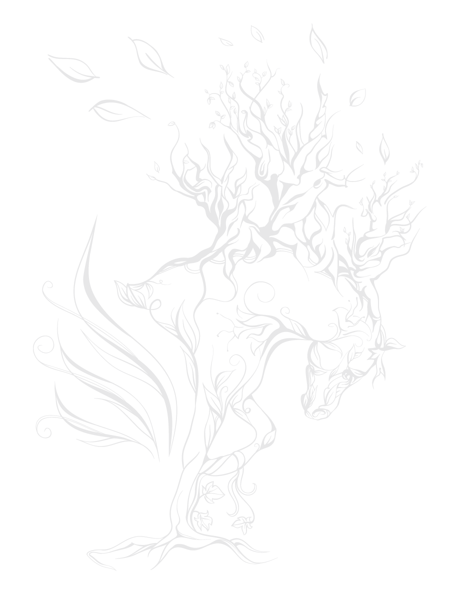 Wind horse illustration